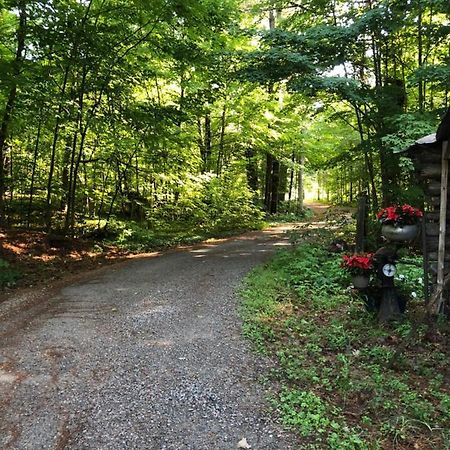 Country Living Bed & Breakfast Gravenhurst Exterior photo